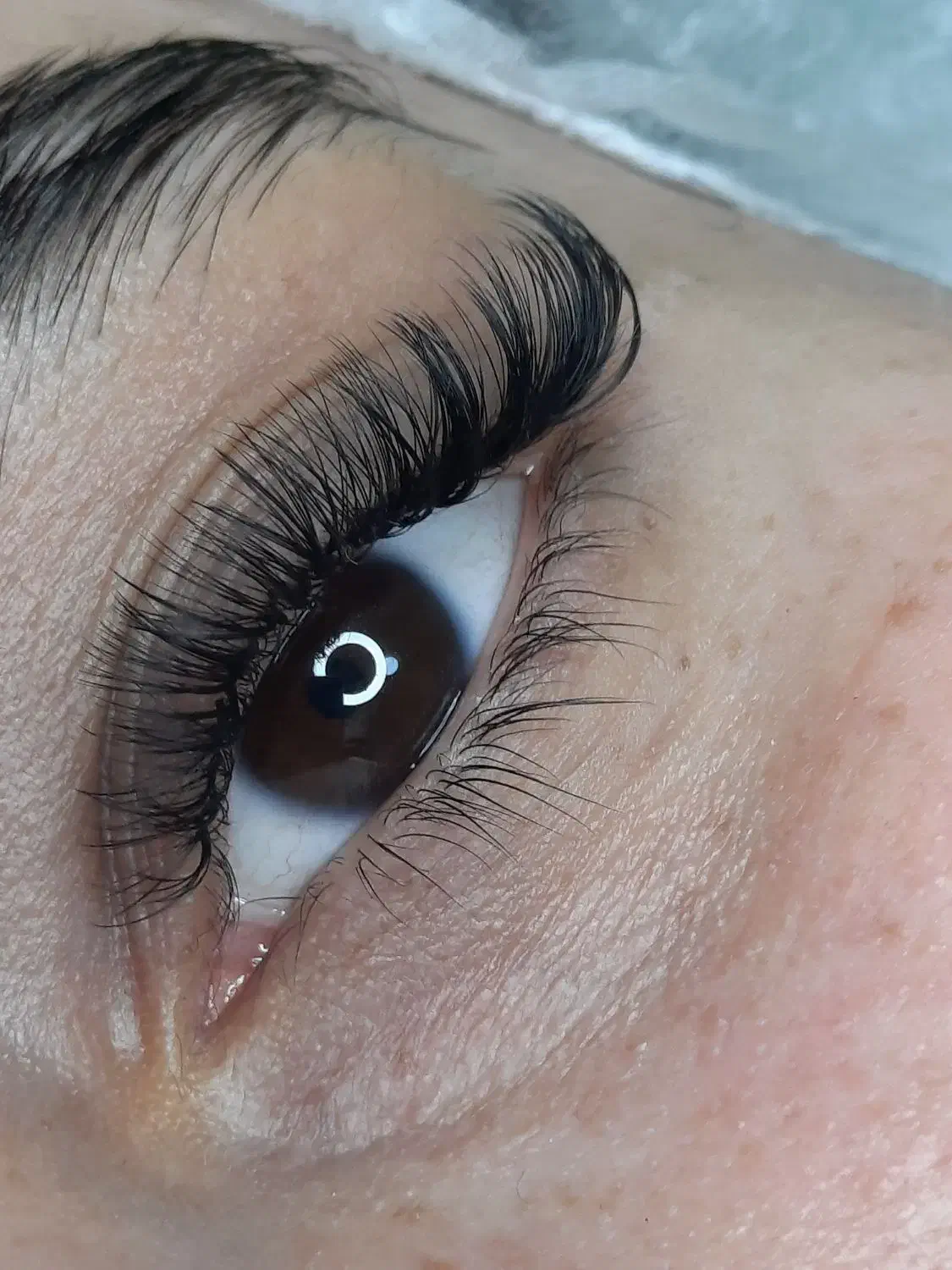 مدل رایگان برای اکستنشن مژه|خدمات آرایشگری و زیبایی|فیروزآباد (فارس), |دیوار