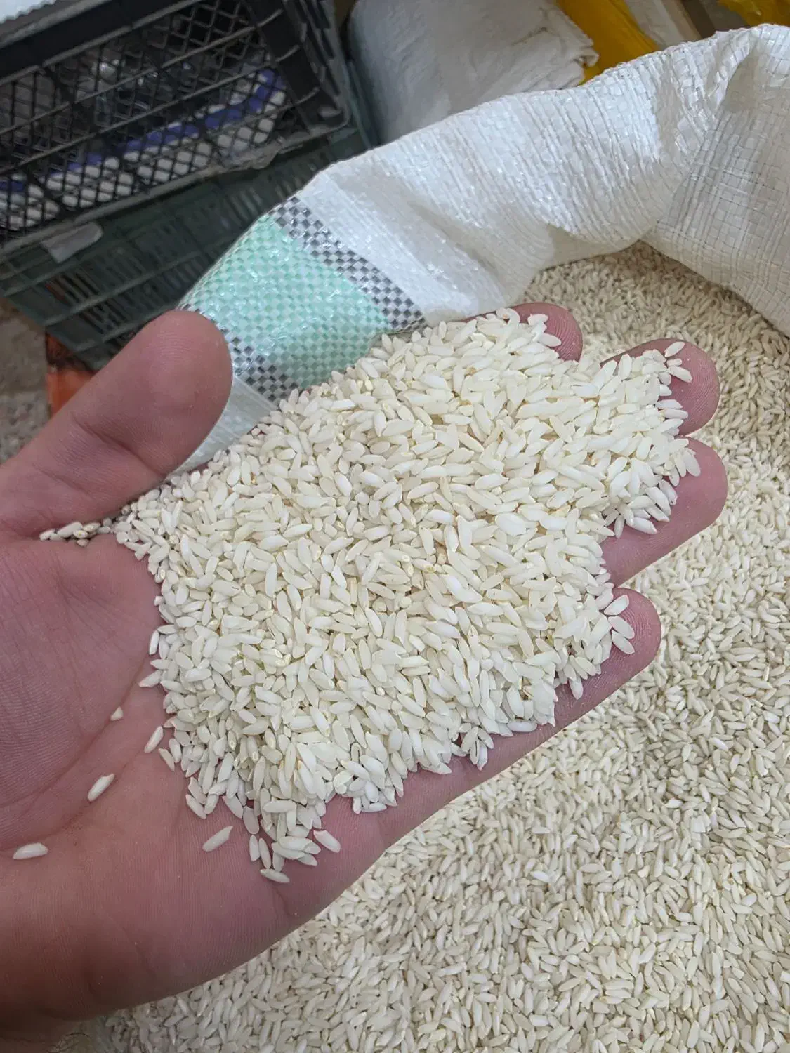 برنج فروشی گیلان|عمده‌فروشی|حویق, |دیوار