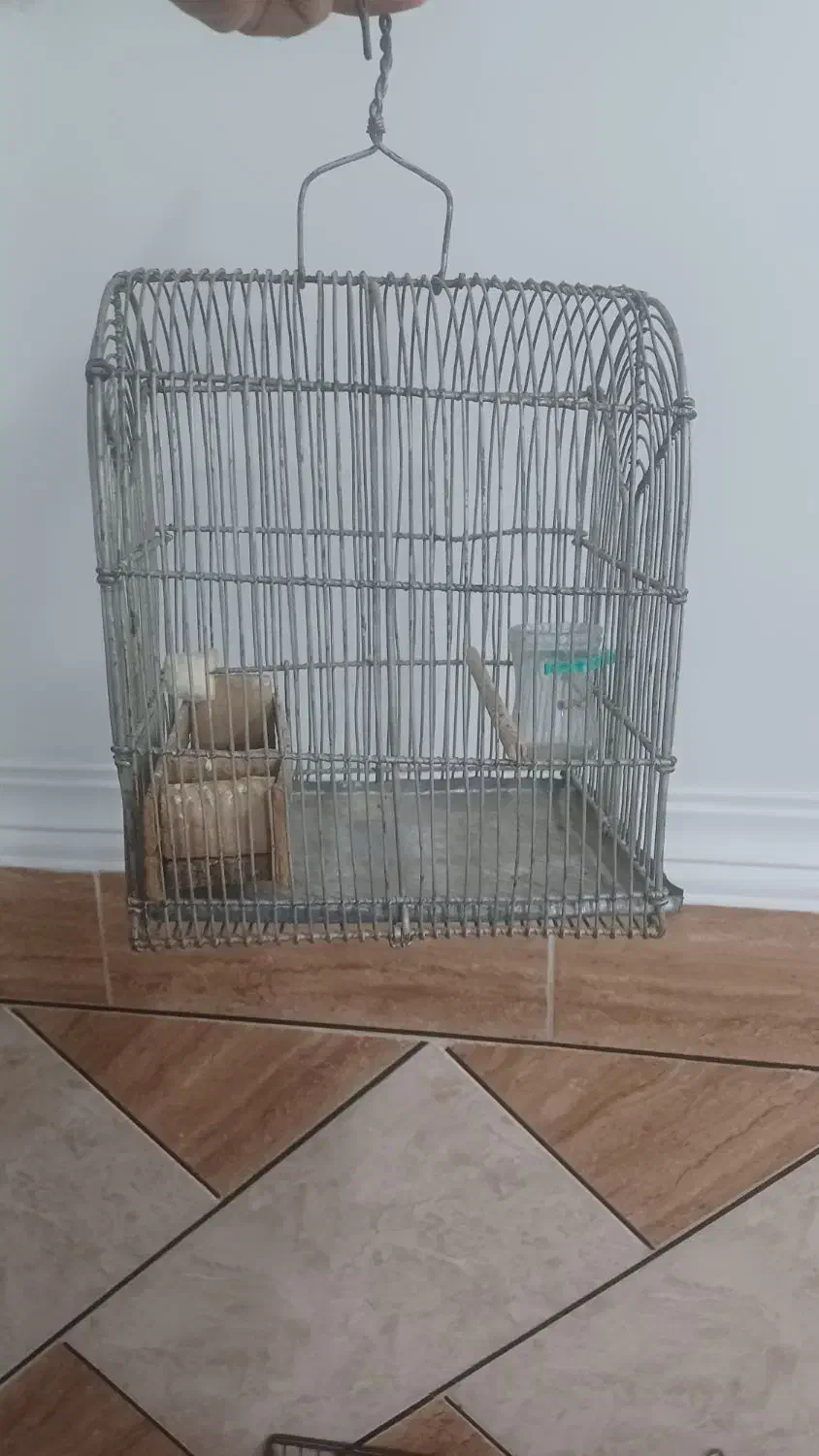 قفس دست باف سهره|لوازم جانبی حیوانات|اهواز, پردیس دو|دیوار