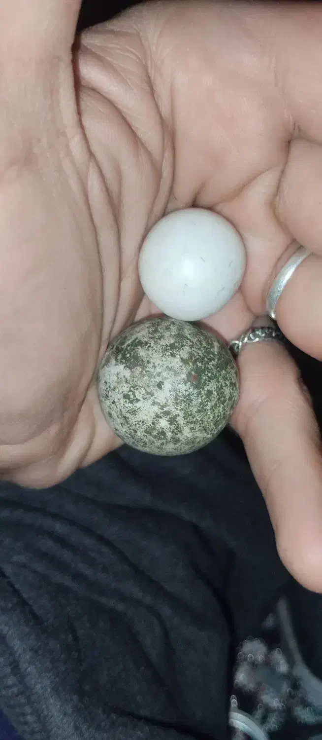 سنگ آسیاب|کلکسیون اشیاء عتیقه|کوهدشت, |دیوار