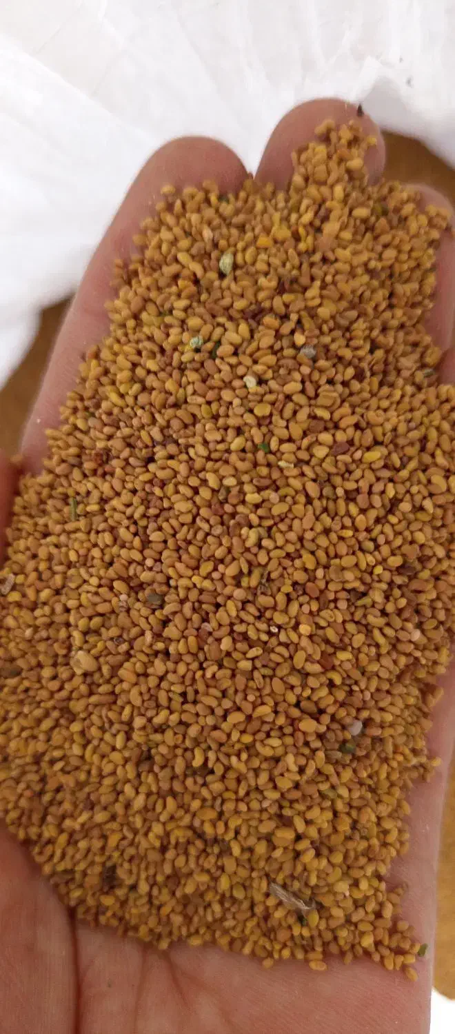 فروش بذر یونجه|خدمات باغبانی و درختکاری|امیدیه, |دیوار