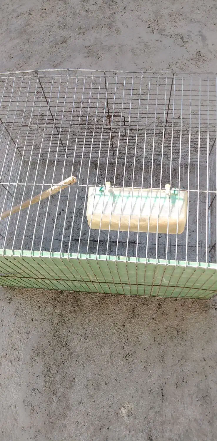 قفس پرنده|لوازم جانبی حیوانات|جهرم, |دیوار