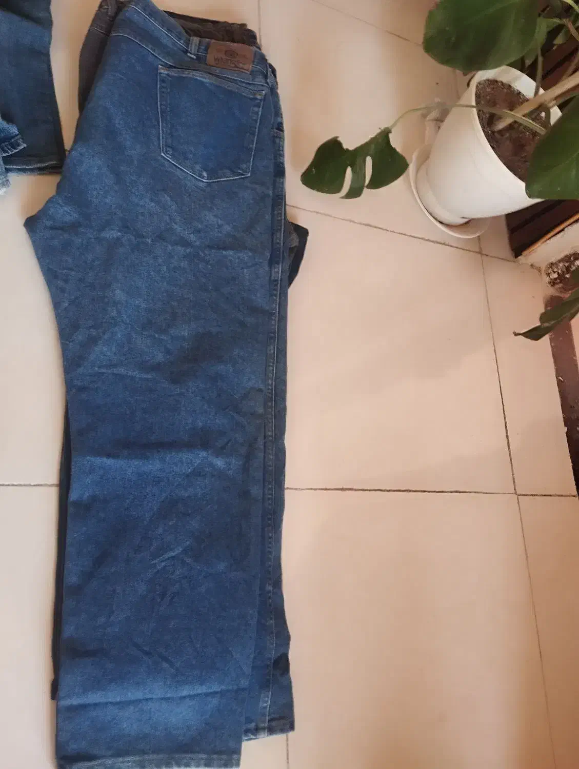 شلوار لی|لباس|کاشمر, |دیوار