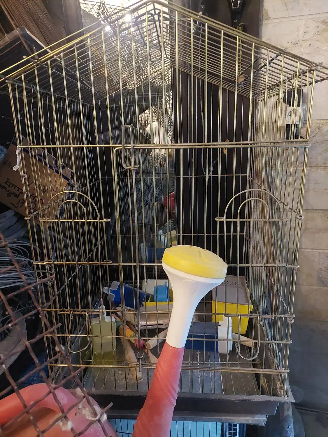 قفس پرنده با وسایل|لوازم جانبی حیوانات|پاکدشت, پاکدشت (مامازند)|دیوار