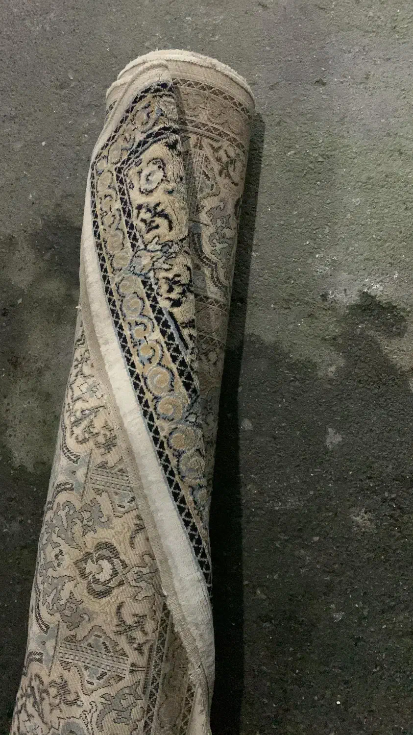 فرش|فرش|چالوس, |دیوار