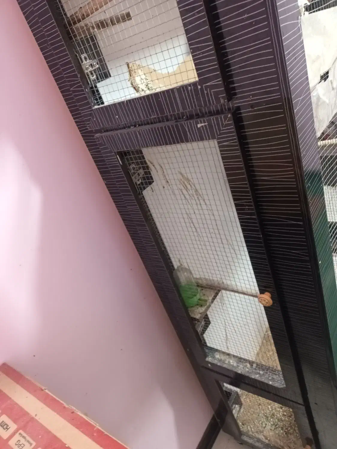 قفس MDF پرنده|لوازم جانبی حیوانات|شاهینشهر, گرگاب|دیوار