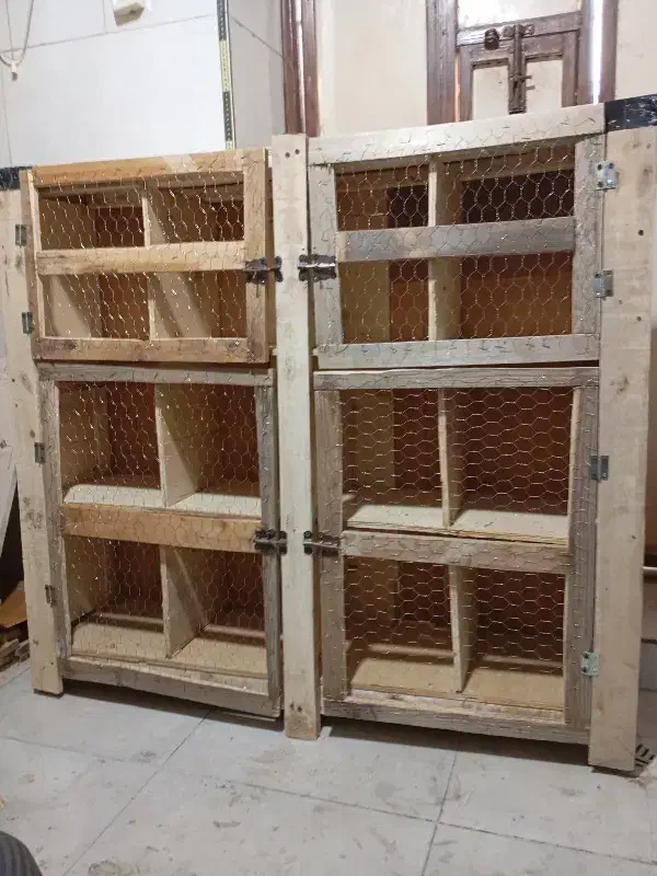 قفس چوبی پرنده|لوازم جانبی حیوانات|شیراز, شیخ علی چوپان|دیوار