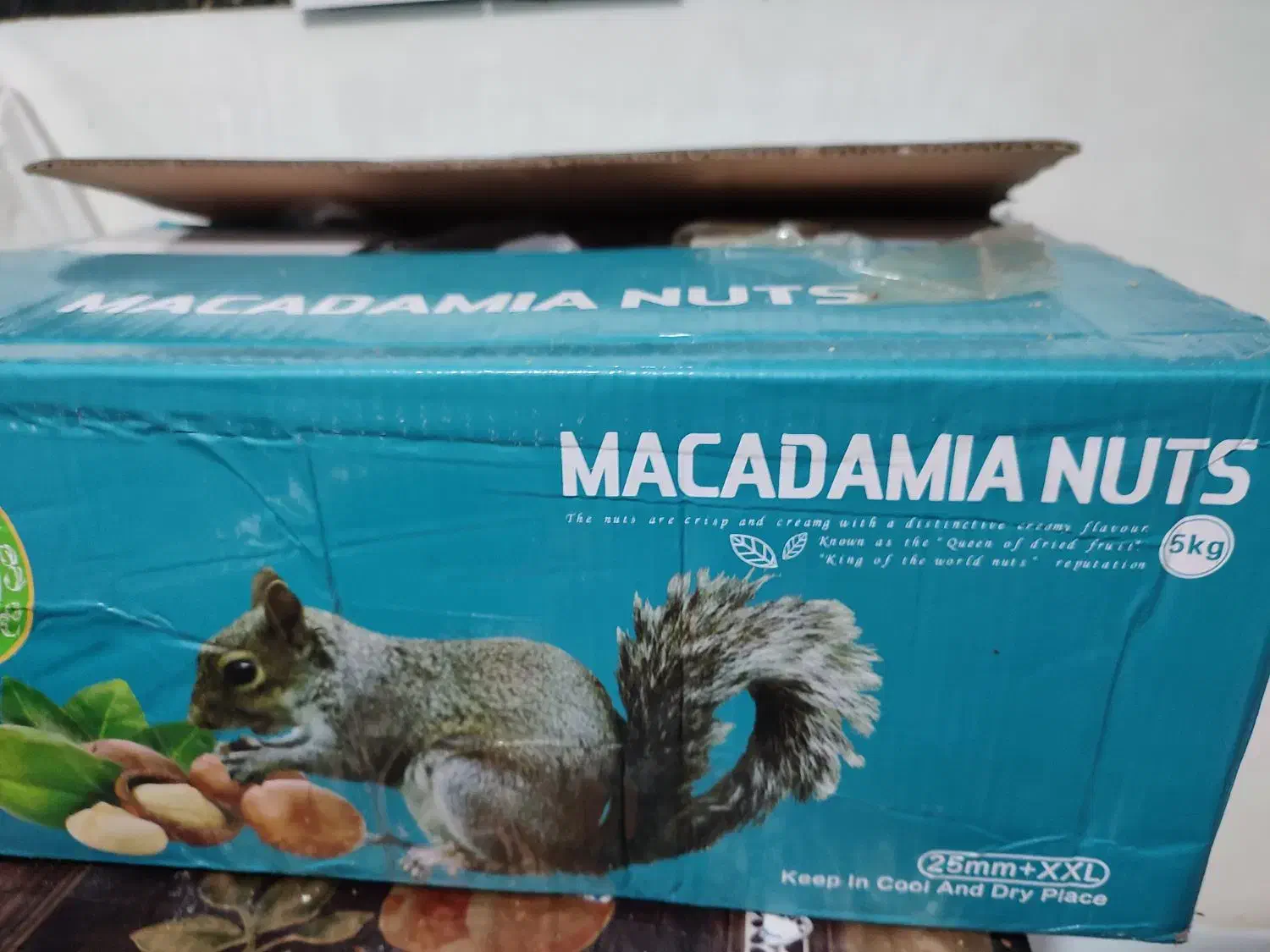 ماکادمیا|خوردنی و آشامیدنی|دلوار, |دیوار