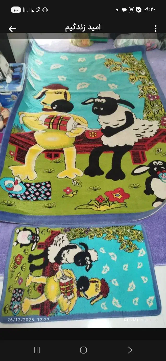 فرش اتاق  خواب بچه همراه با پادری کاملا سالم و نو|فرش|تهران, خزانه|دیوار