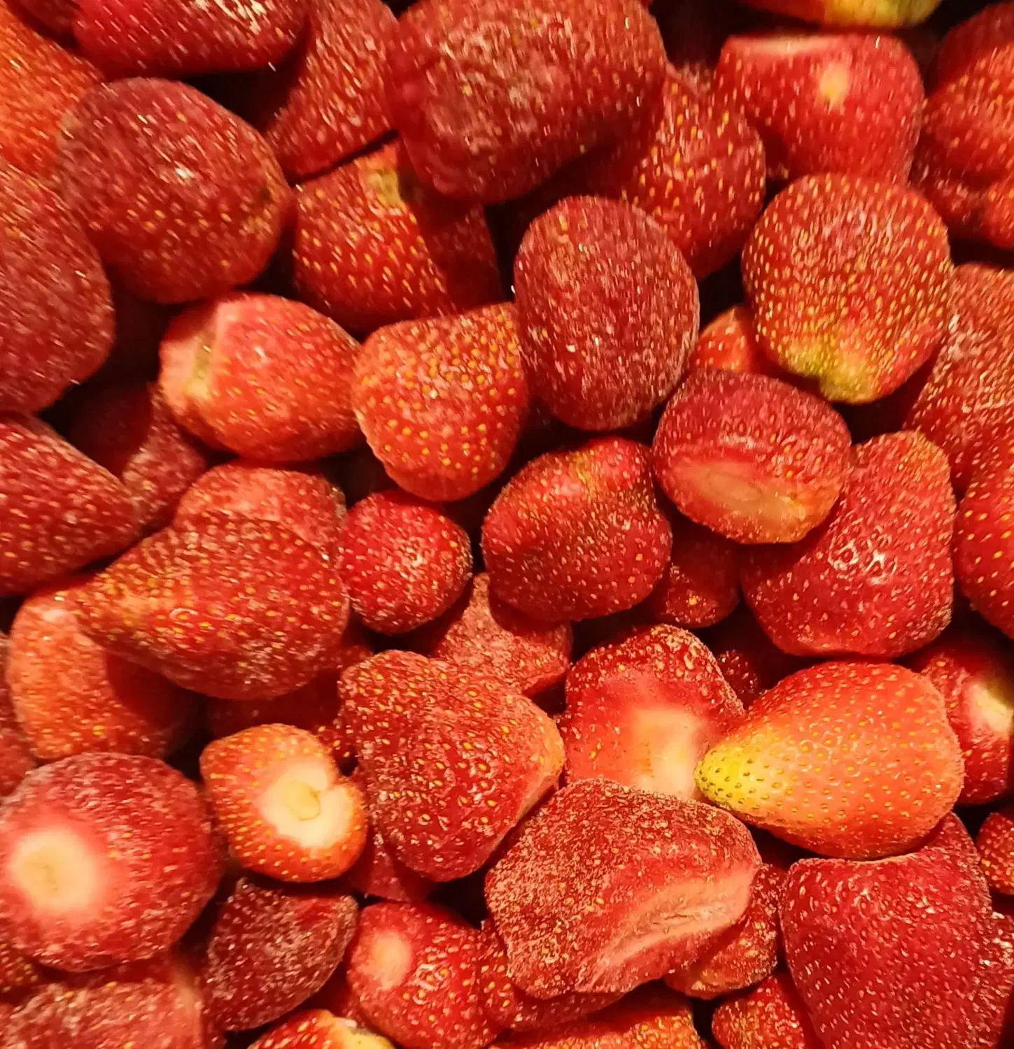 توت فرنگی منجمد درجه یک|عمدهفروشی|هشتگرد, مدرس|دیوار