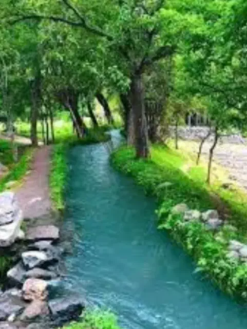 مشاوره|فعالیت داوطلبانه|آبدانان, |دیوار