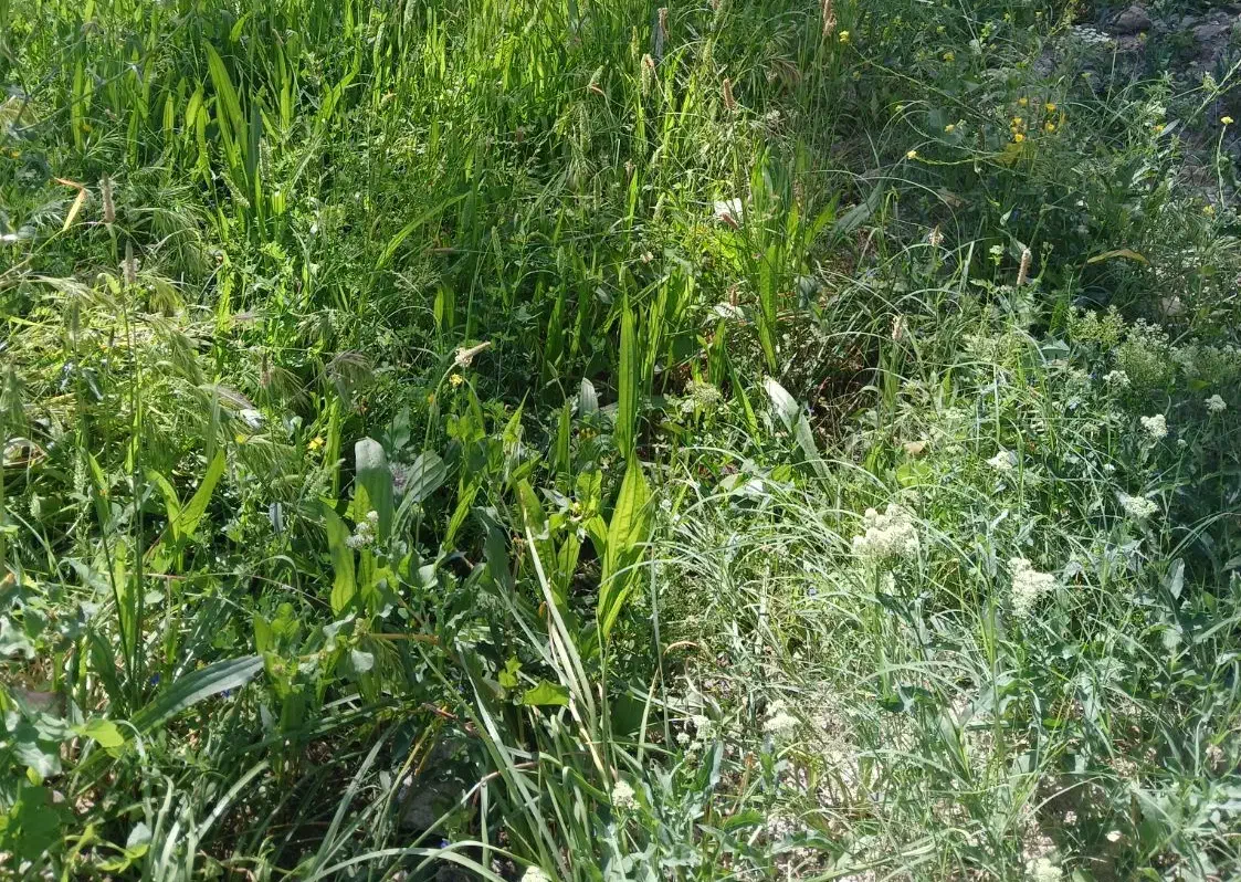 سرایداری|خدمات نظافت|بوشهر, |دیوار