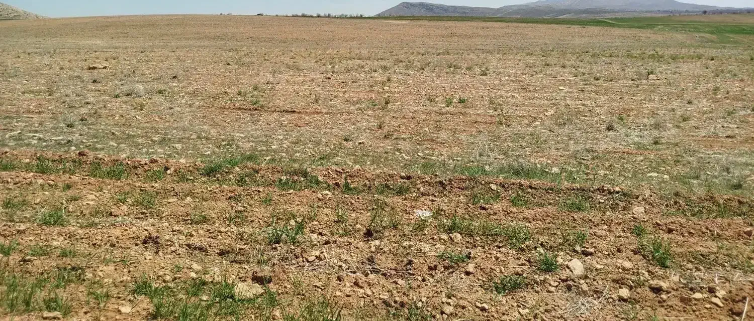 2500متر زمین|فروش زمین و ملک کلنگی|باسمنج, |دیوار