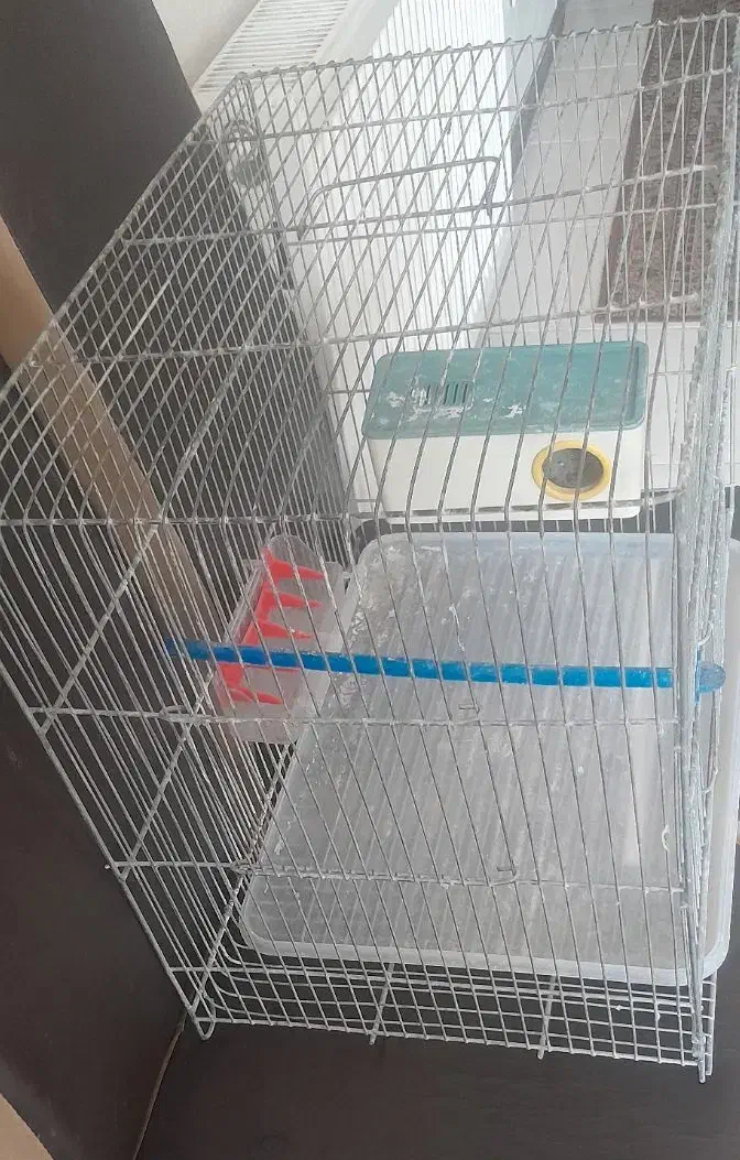 قفس پرنده|لوازم جانبی حیوانات|شاهین‌شهر, مسکن مهر|دیوار