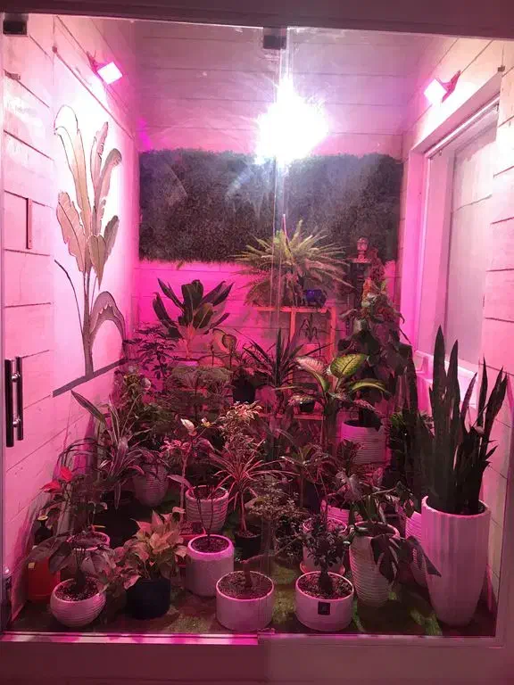 پروژکتور رشد گیاه|لامپ و چراغ|بجنورد, |دیوار