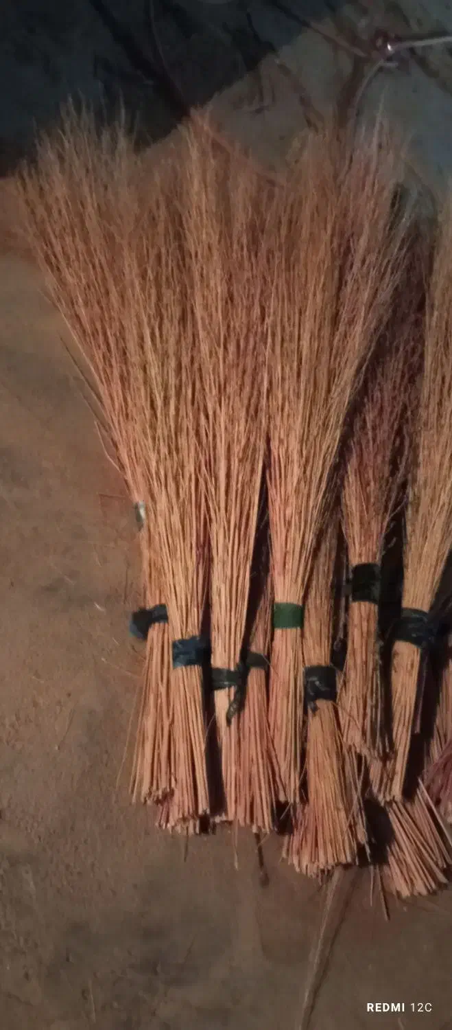 جارو خانگی|جاروبرقی، جارو شارژی، بخارشو|لردگان, |دیوار