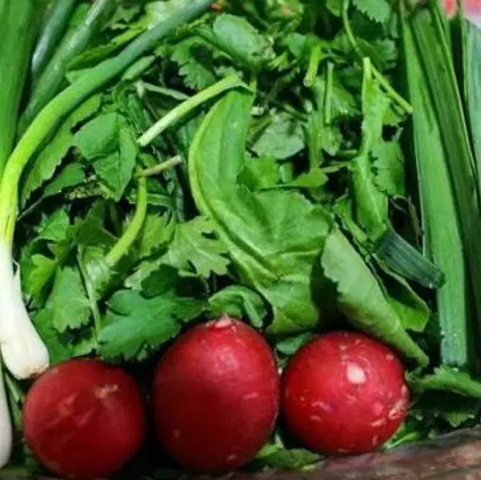 پخش سبزی خوردنی از باغ برای مقازها پذیرفته میشود|خدمات پذیرایی، مراسم|بندر ماهشهر, |دیوار