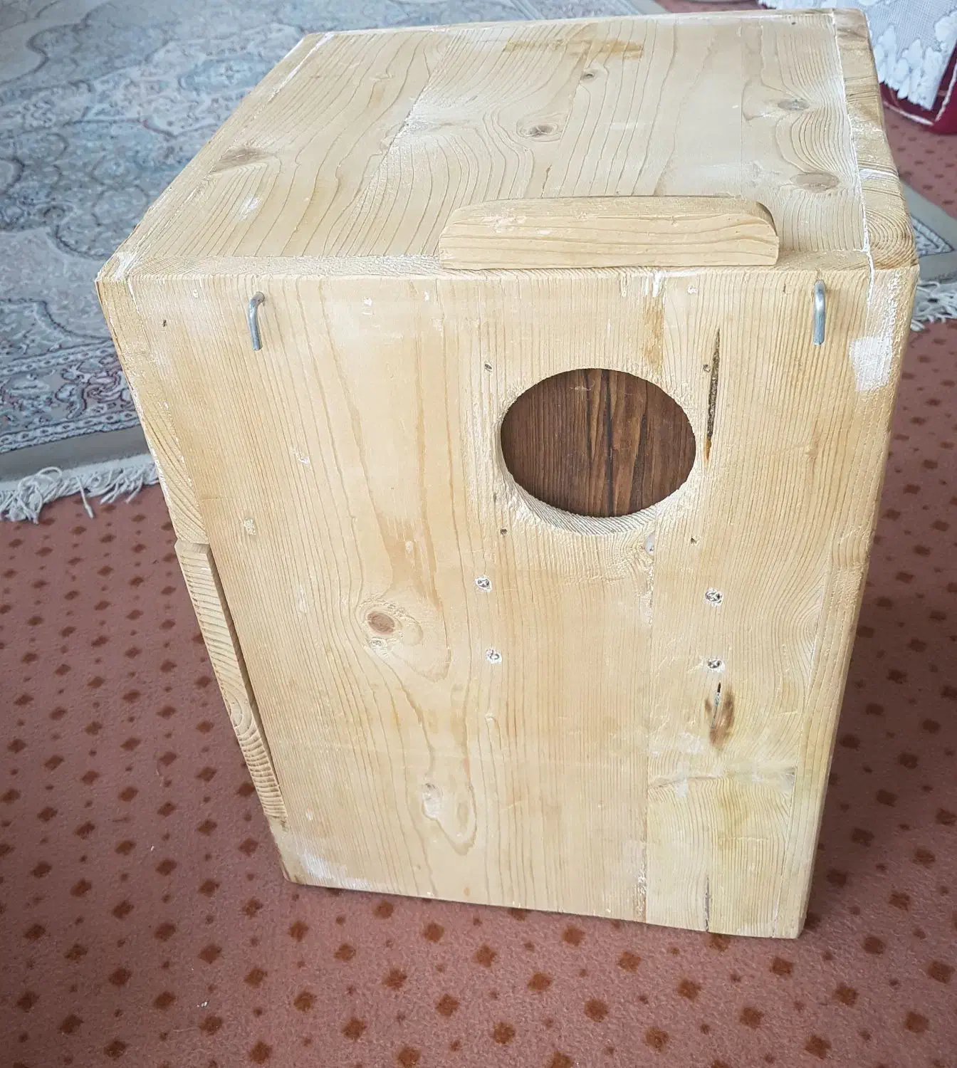 لونه طوطی راهب|لوازم جانبی حیوانات|رشت, حومه رشت|دیوار