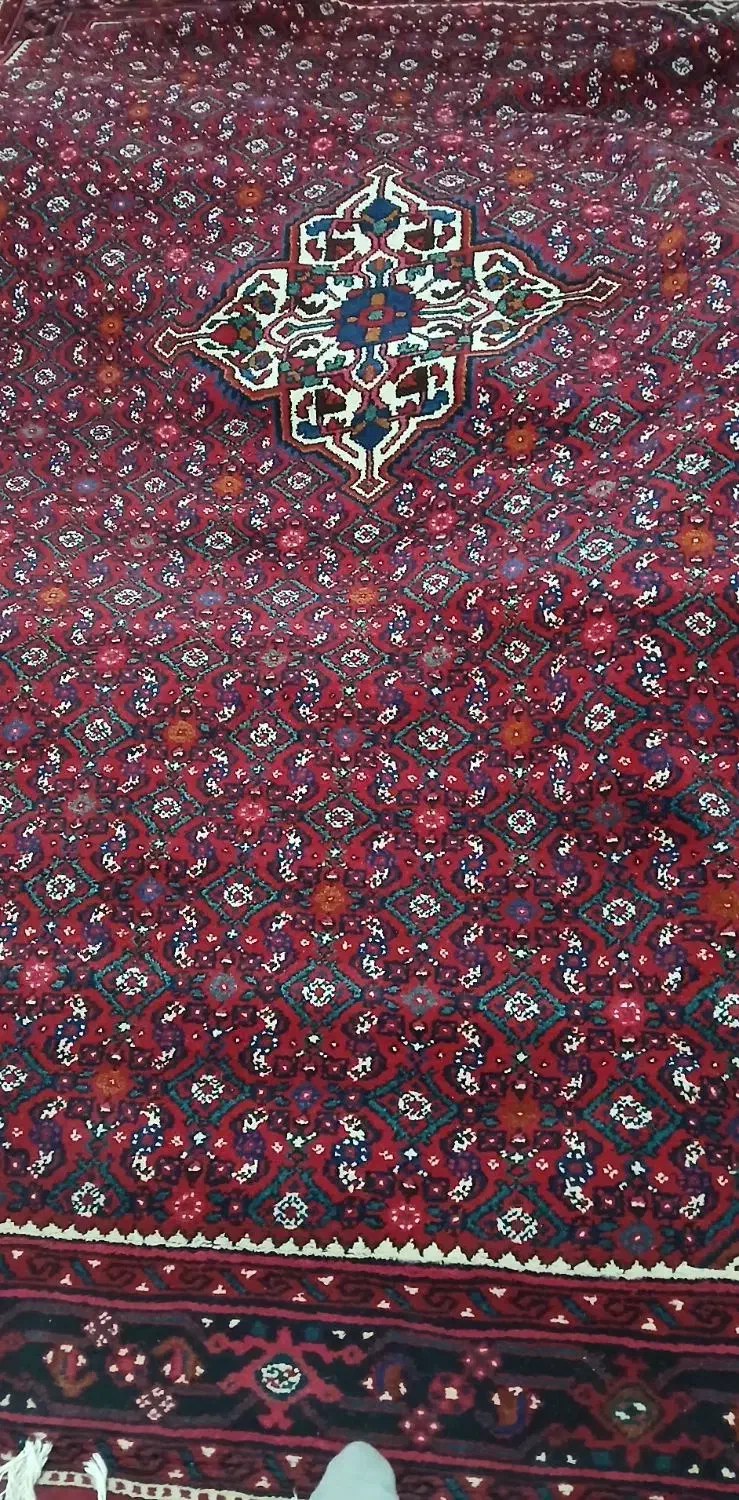 فرش ازندریان|فرش|همدان, |دیوار