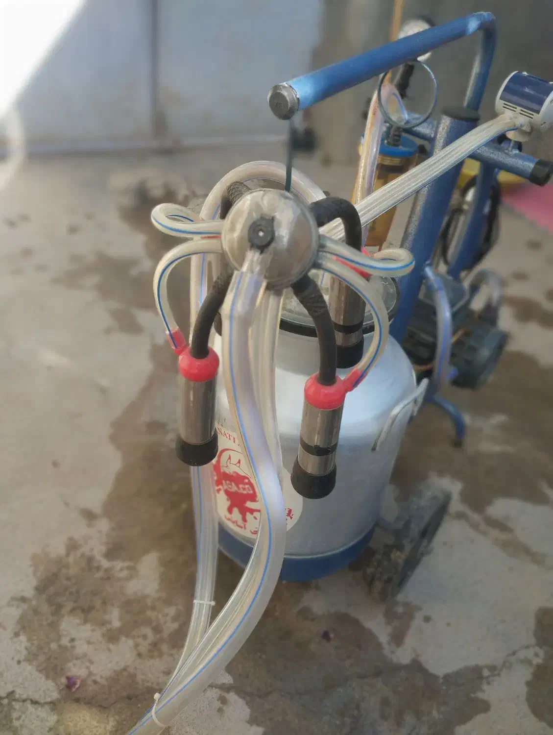 شیردوش|اسباب و اثاث بچه|دینور, |دیوار