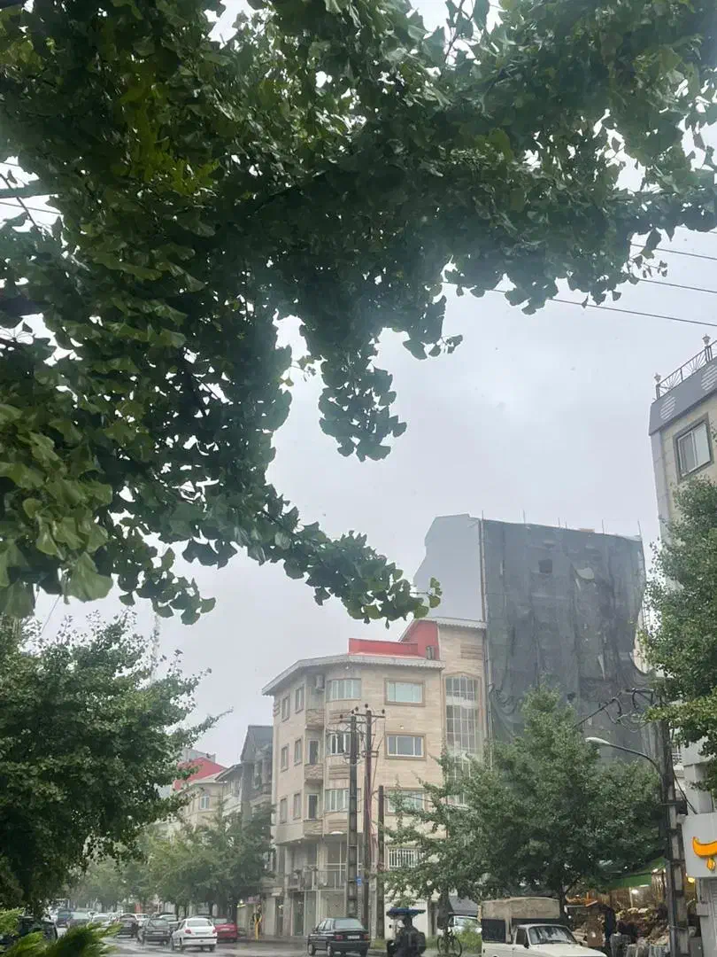 اجاره مغازه گلسار بر استاد معین نبش کوچه سوم|اجارهٔ مغازه و غرفه|رشت, گلسار|دیوار