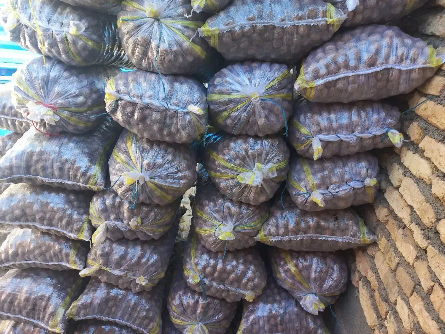 باسلام گردوبصورت عمده بفروش میرسدفقط تماس باتخفیف|عمدهفروشی|اردل, |دیوار