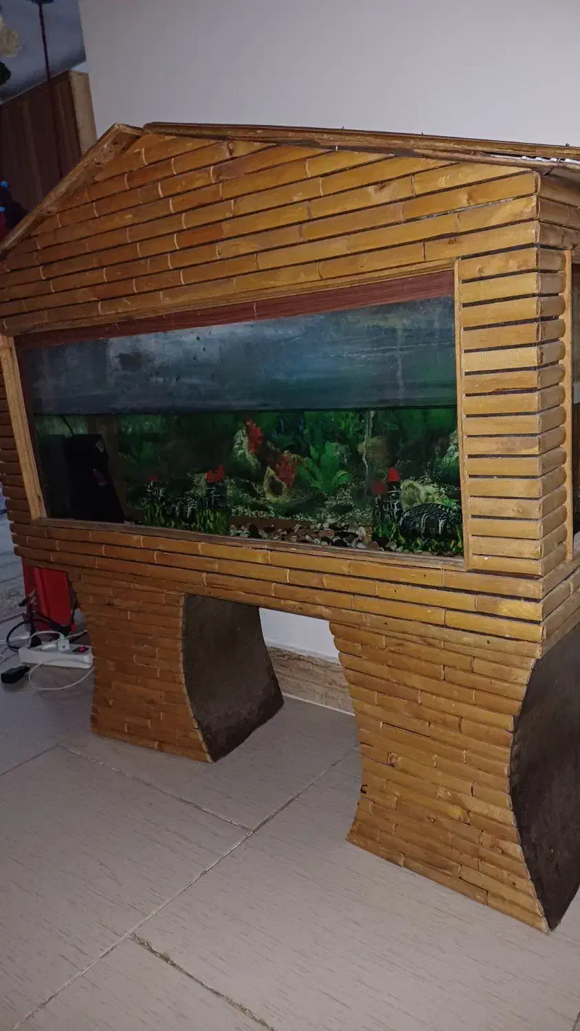 اکواریوم ماهی|ماهی|الوند, |دیوار