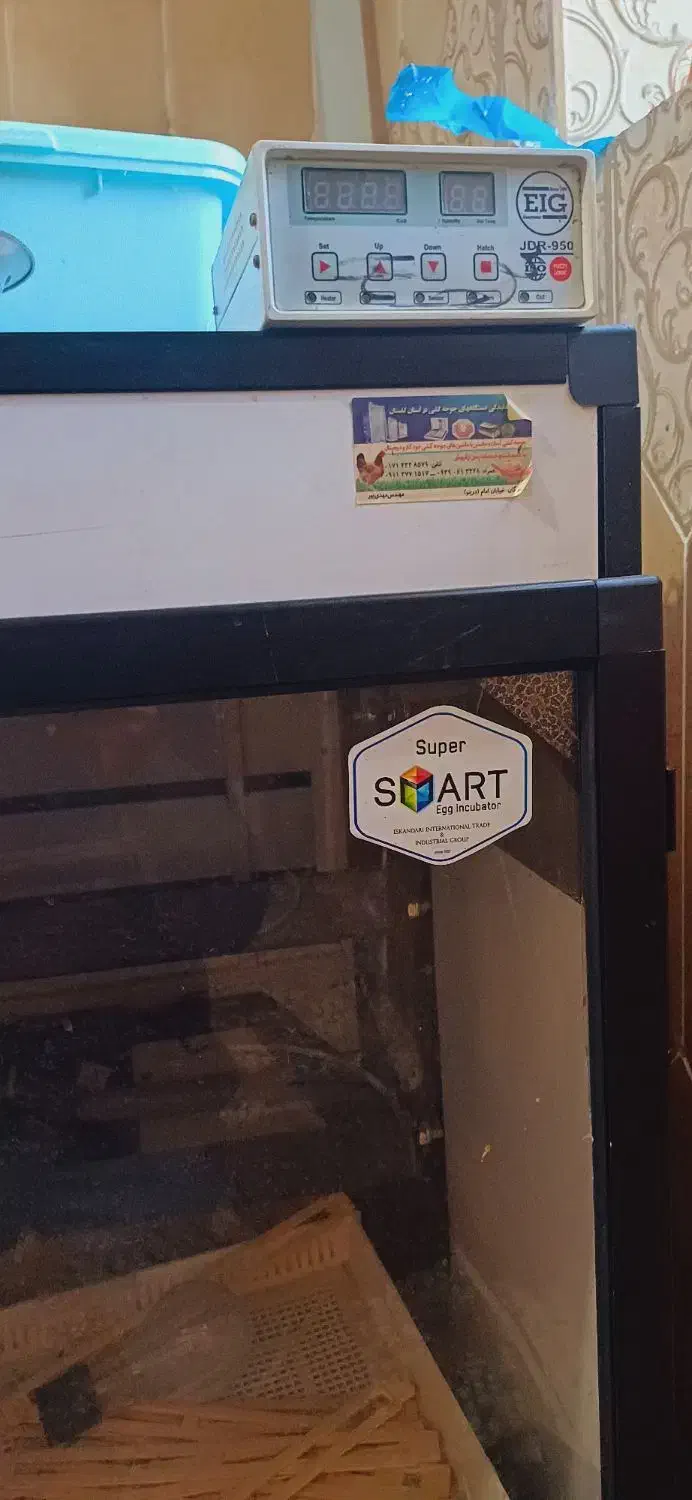 لوازم جانبی وحیوانات|لوازم جانبی حیوانات|بهشهر, |دیوار