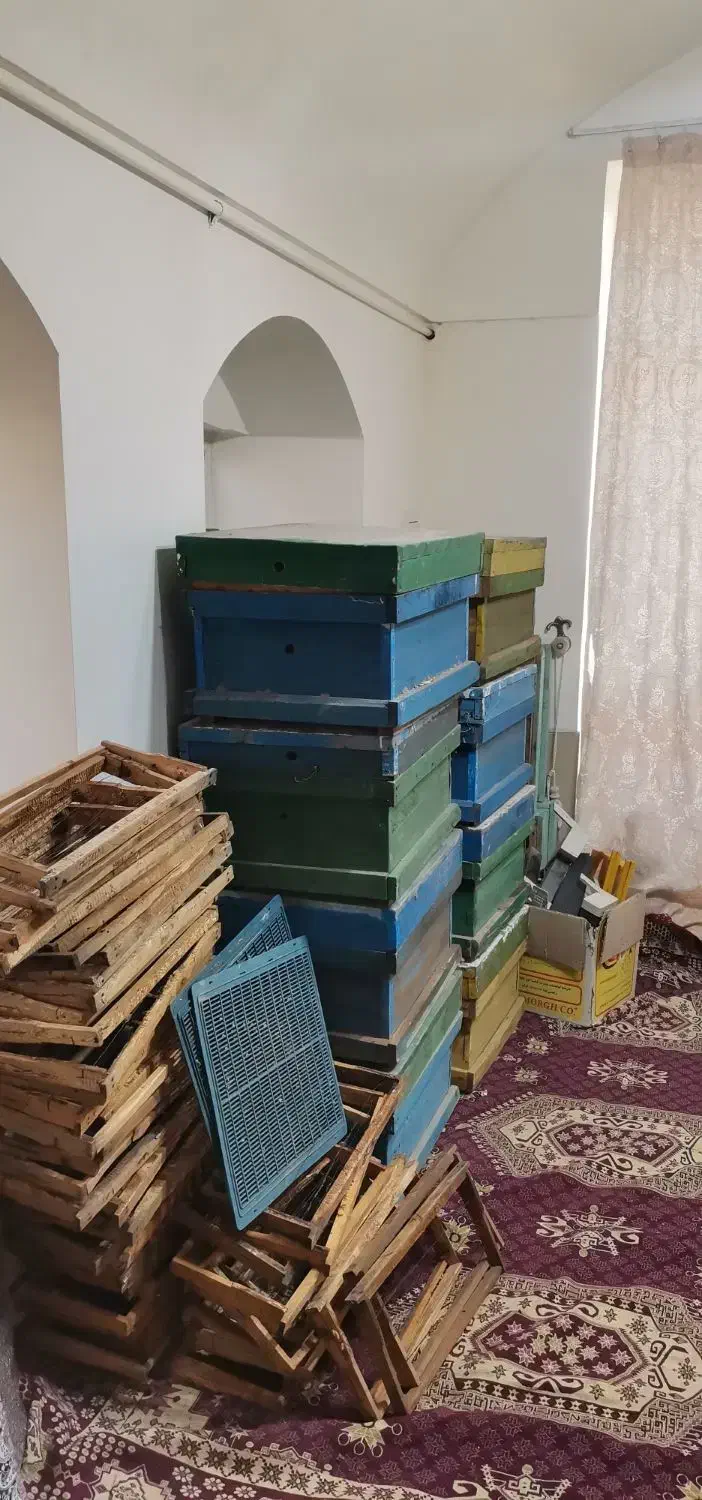 کندوی زنبور عسل|لوازم جانبی حیوانات|مهریز, |دیوار