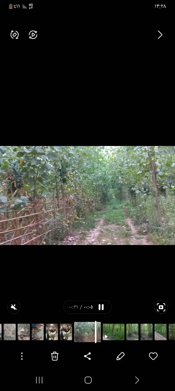 زمین باغی|فروش زمین و ملک کلنگی|رودبنه, |دیوار