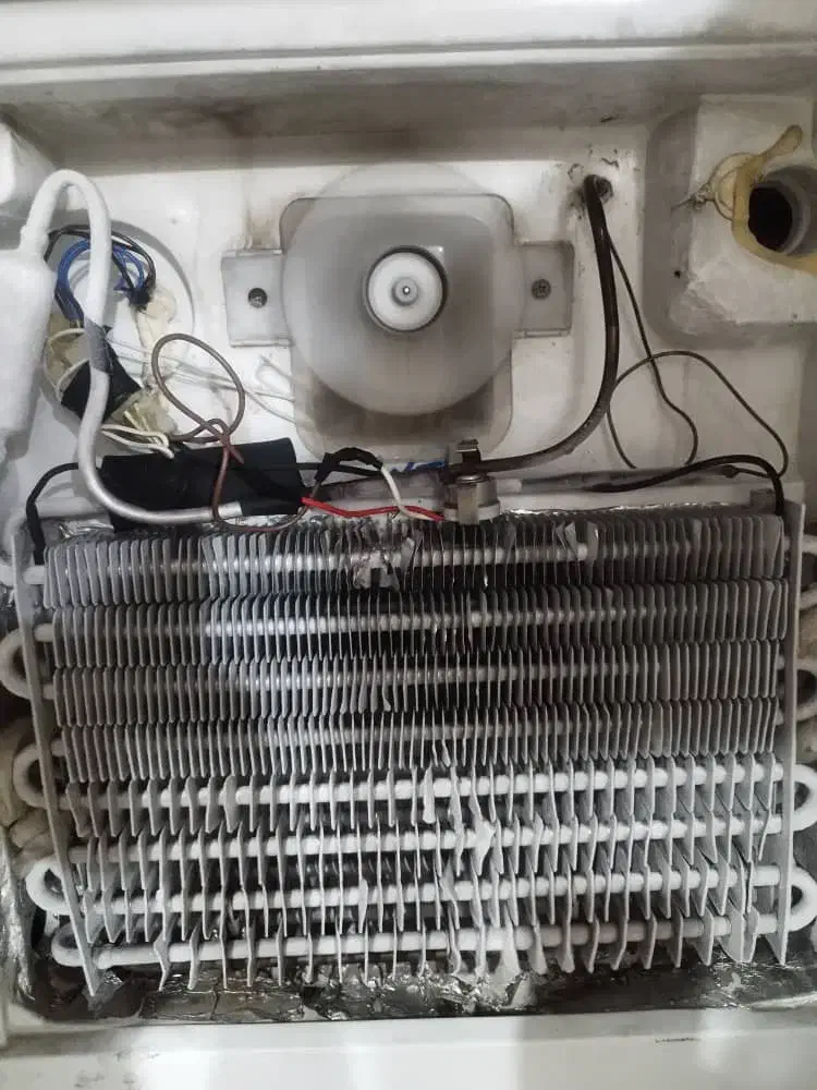 تعمیرات یخچال درمنزل واطراف فقط بارضایت مشتری|خدمات پیشه و مهارت|فولادشهر, مسکن مهر فولادشهر|دیوار