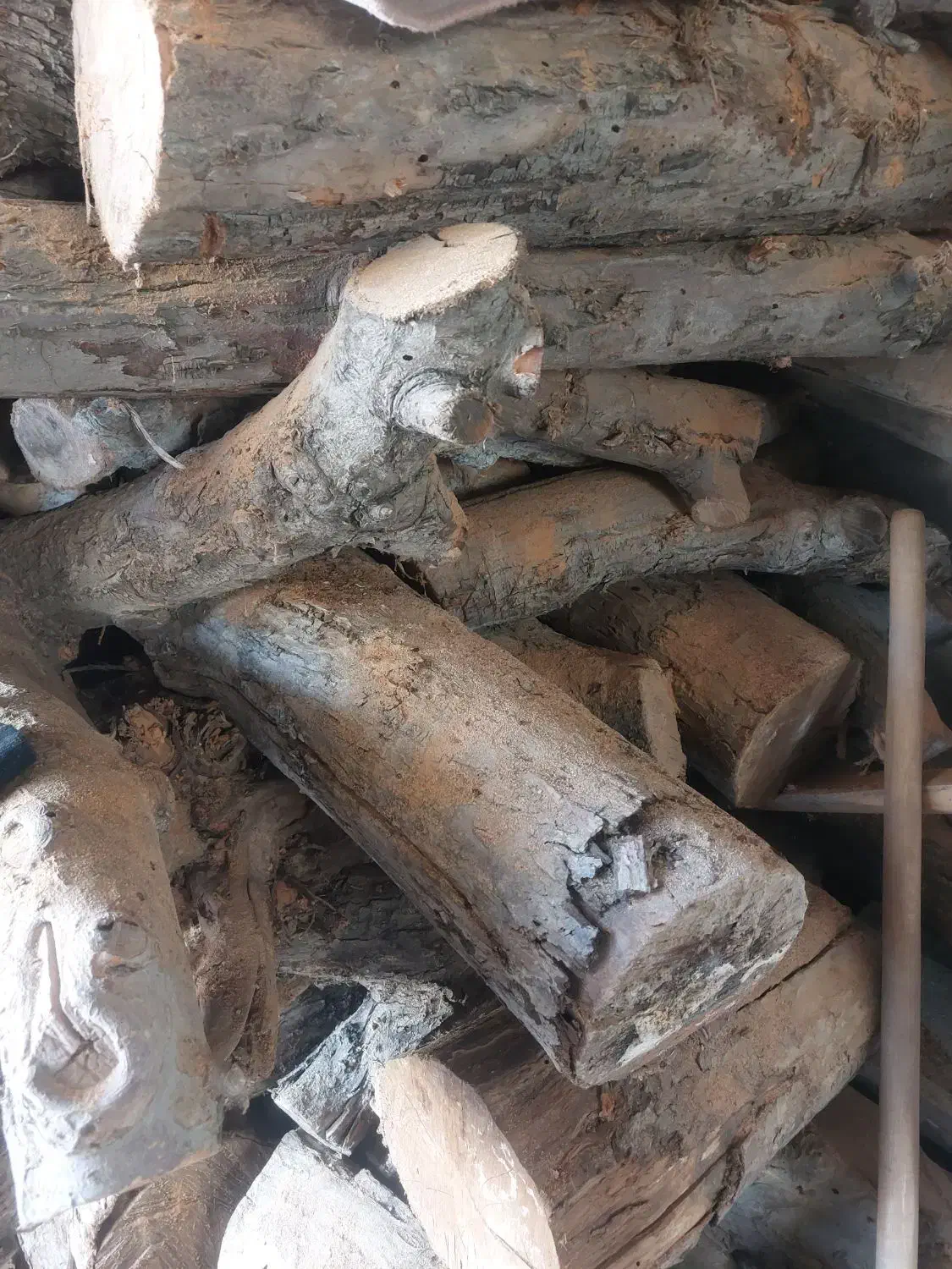 هیزم درخت سیب خشک خشک|مصالح و تجهیزات ساختمان|اهر, |دیوار