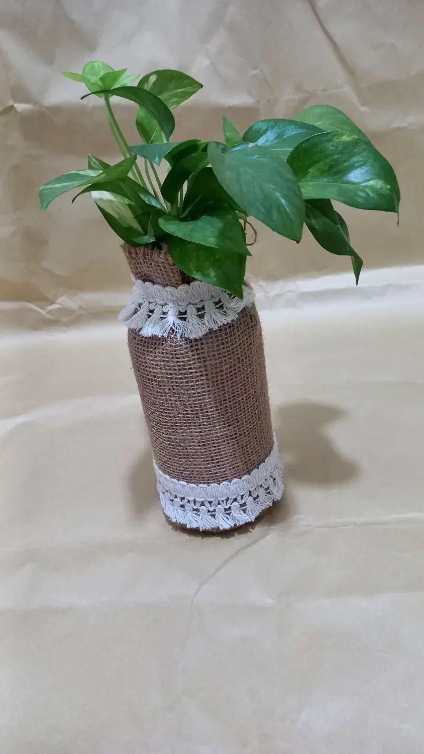 گلدان کنفی|صنایع دستی و سایر لوازم تزئینی|رشت, عینک|دیوار