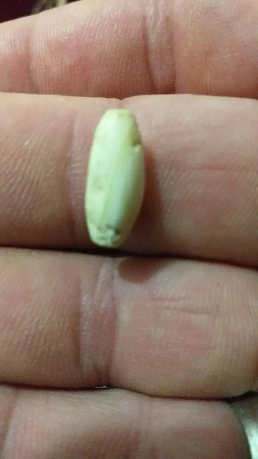 انگشتر|کلکسیون و سرگرمی|ایلام, |دیوار