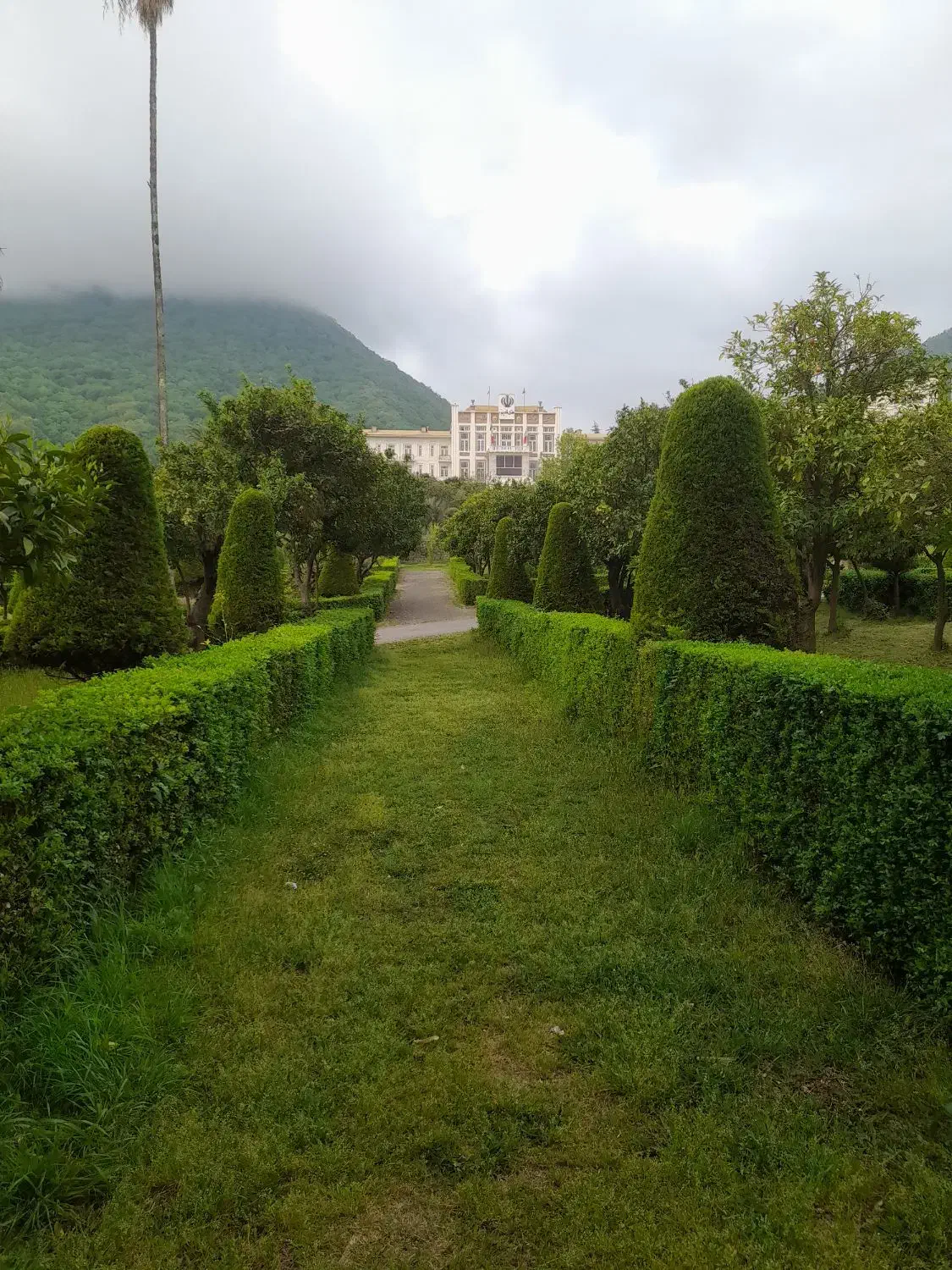 علف تراشی باغ و باغچه|خدمات باغبانی و درختکاری|رامسر, |دیوار