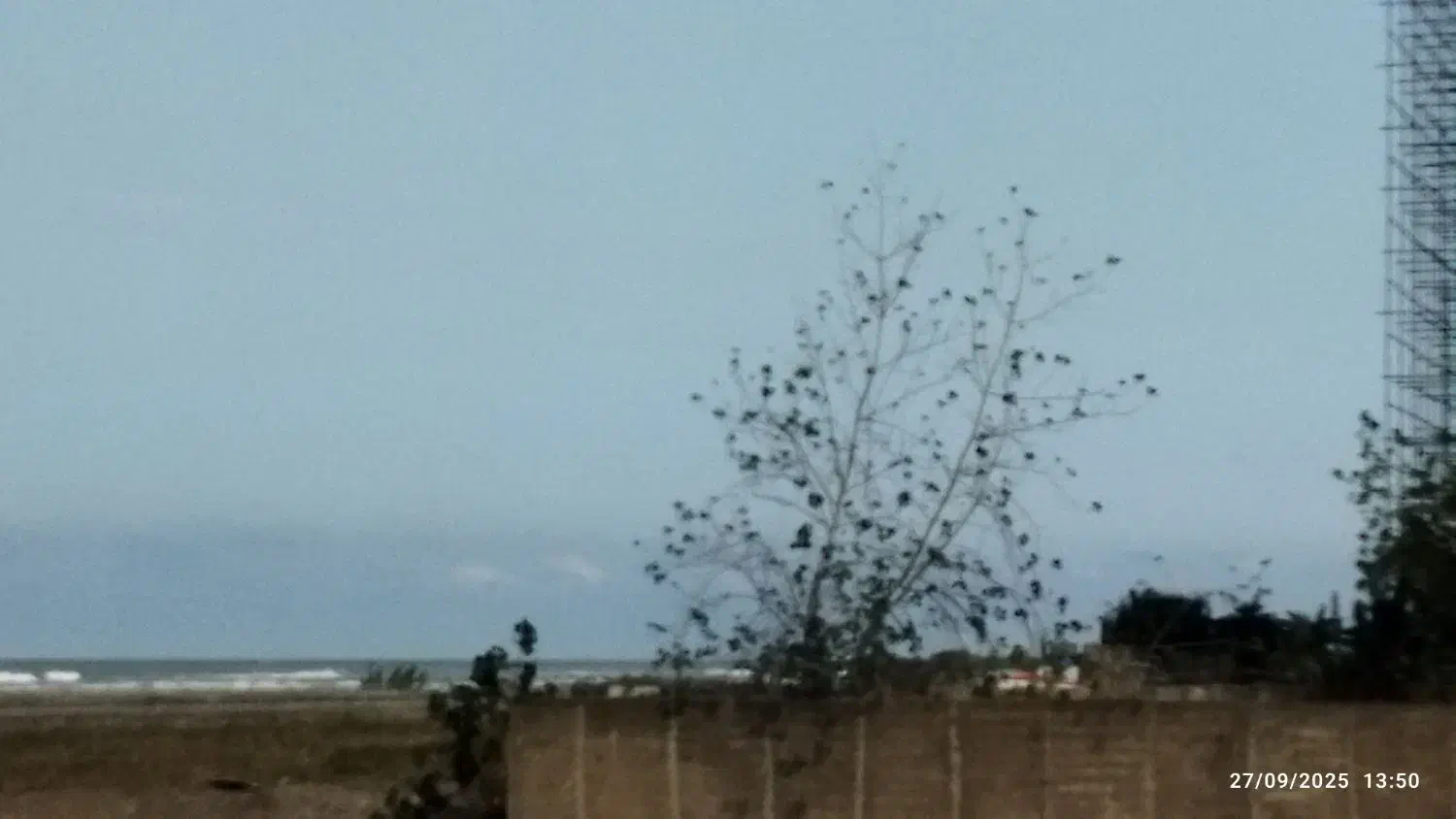 زمین مشارکت در ساخت سرخرود|مشارکت در ساخت املاک|سرخرود, |دیوار