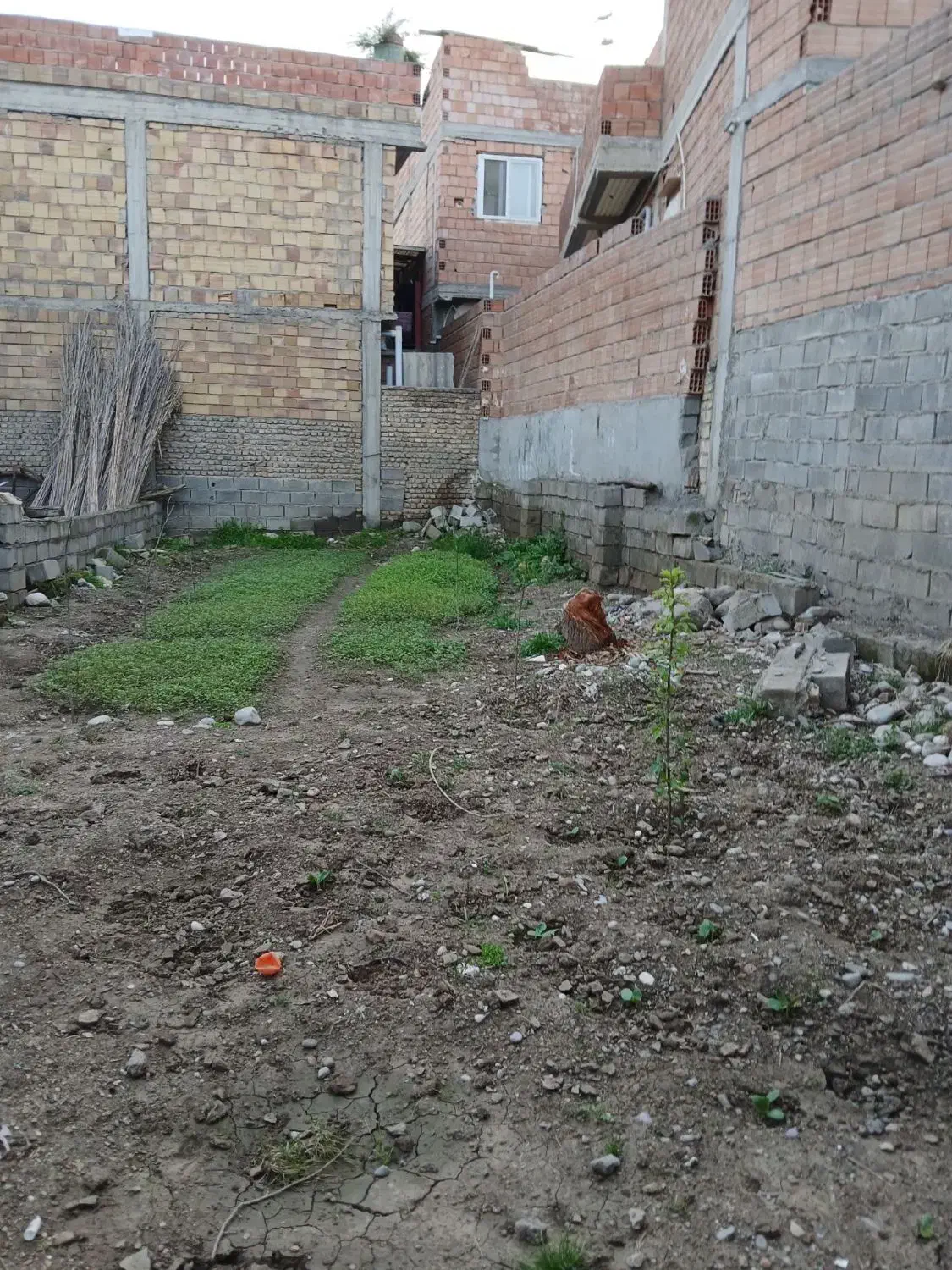 زمین|فروش زمین و ملک کلنگی|مینودشت, |دیوار