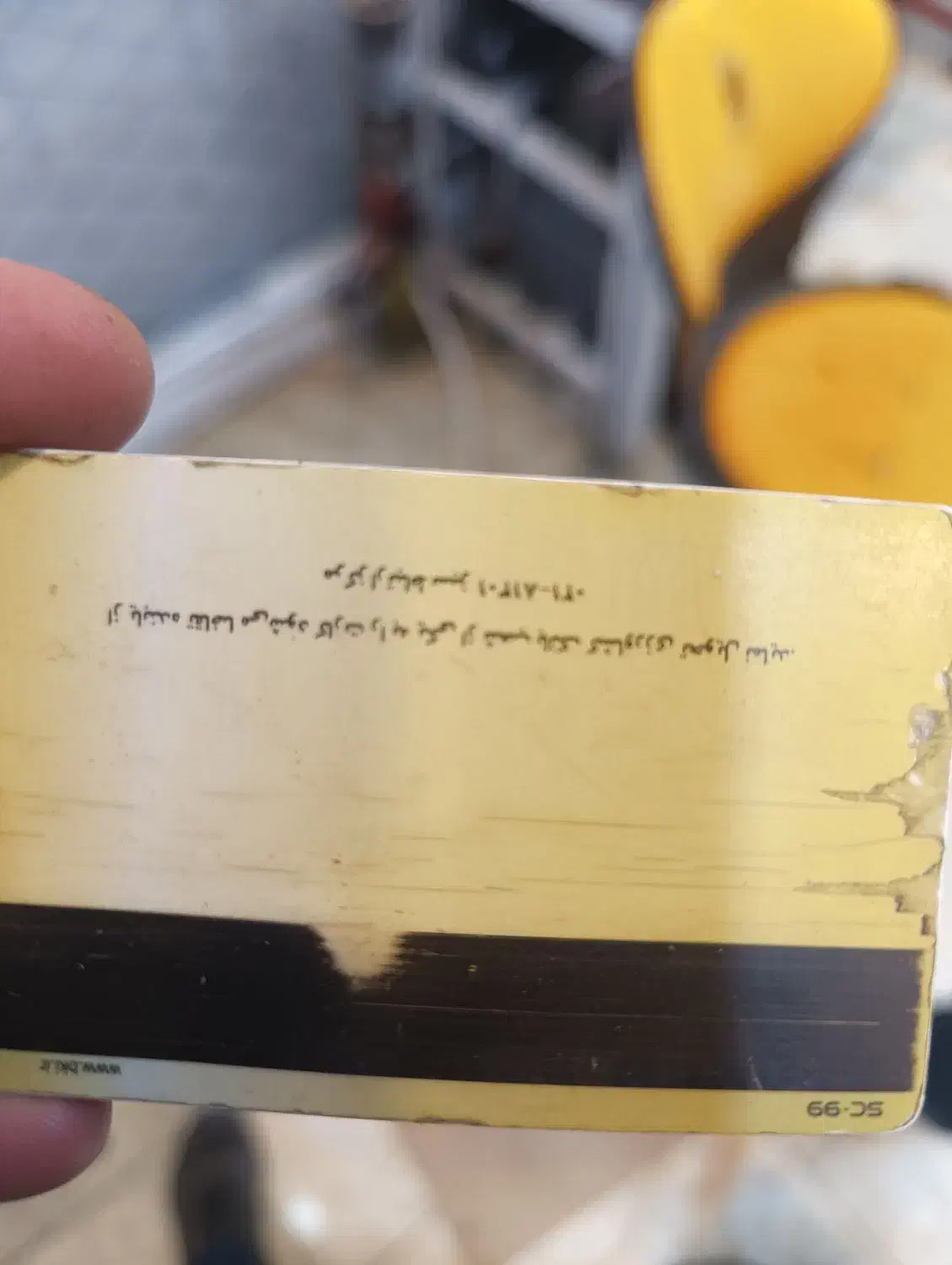 گمشده مدارک|اشیا|اردبیل, |دیوار