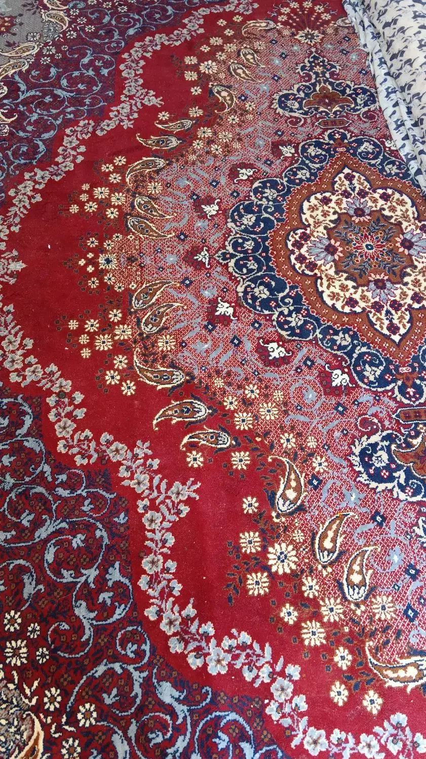 فرش|فرش|مرودشت, بیست متری بیمارستان|دیوار