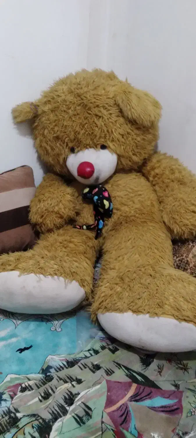 خرس شاسخین|اسباببازی بچه|تنکابن, |دیوار