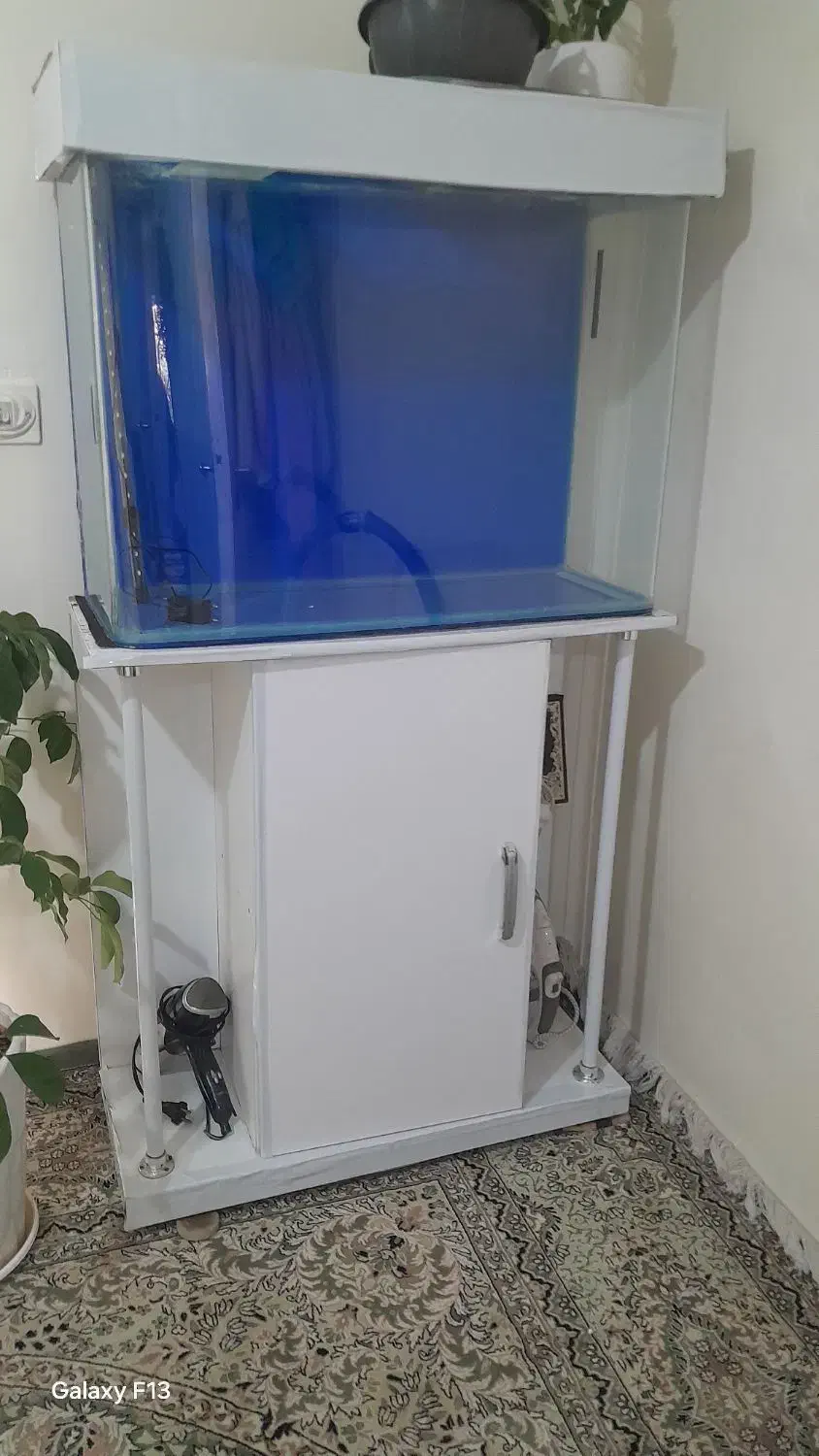 آکواریوم  شیشه خم سایز بزرگ|ماهی|محمدشهر, هزار واحدی|دیوار