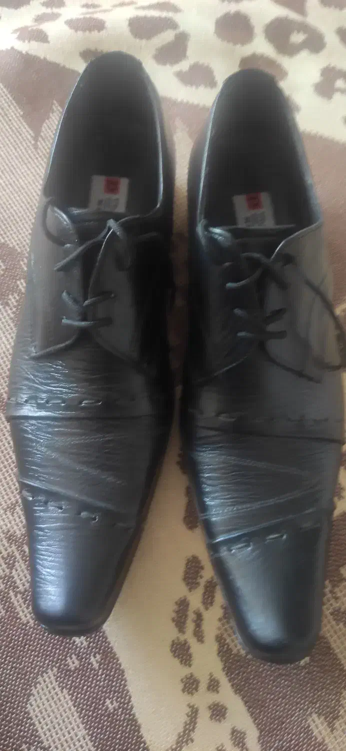 کفش چرمی مردانه|کیف، کفش، کمربند|سنندج, |دیوار