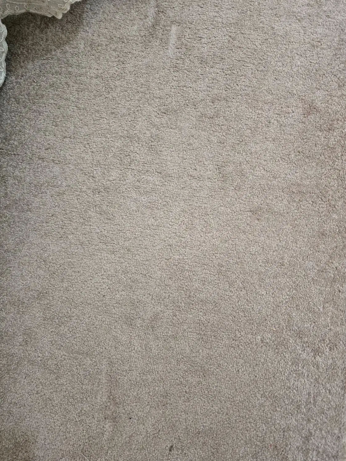 پالاز موکت طوسی رنگ|موکت|زاهدان, |دیوار