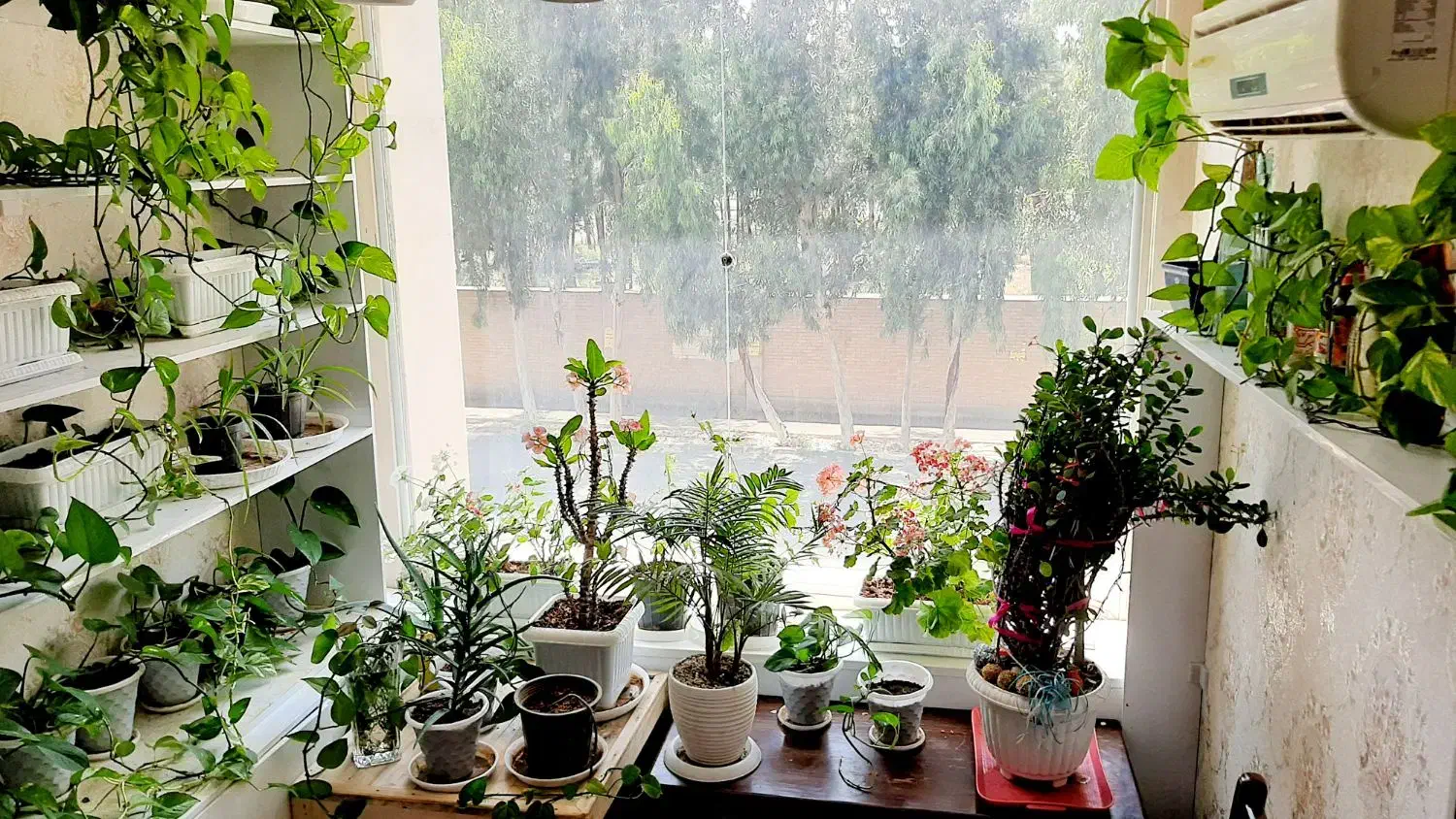 ملک تجاری-مسکونی|فروش مغازه و غرفه|قم, زنبیل آباد|دیوار