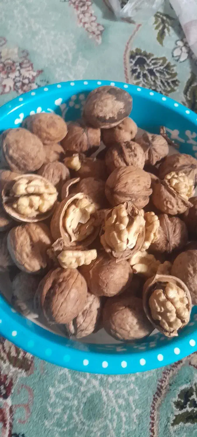 گردو اعلاپوست کاغذ سفید در صورت نارضایتی پس میگیرم|خوردنی و آشامیدنی|چناران, |دیوار