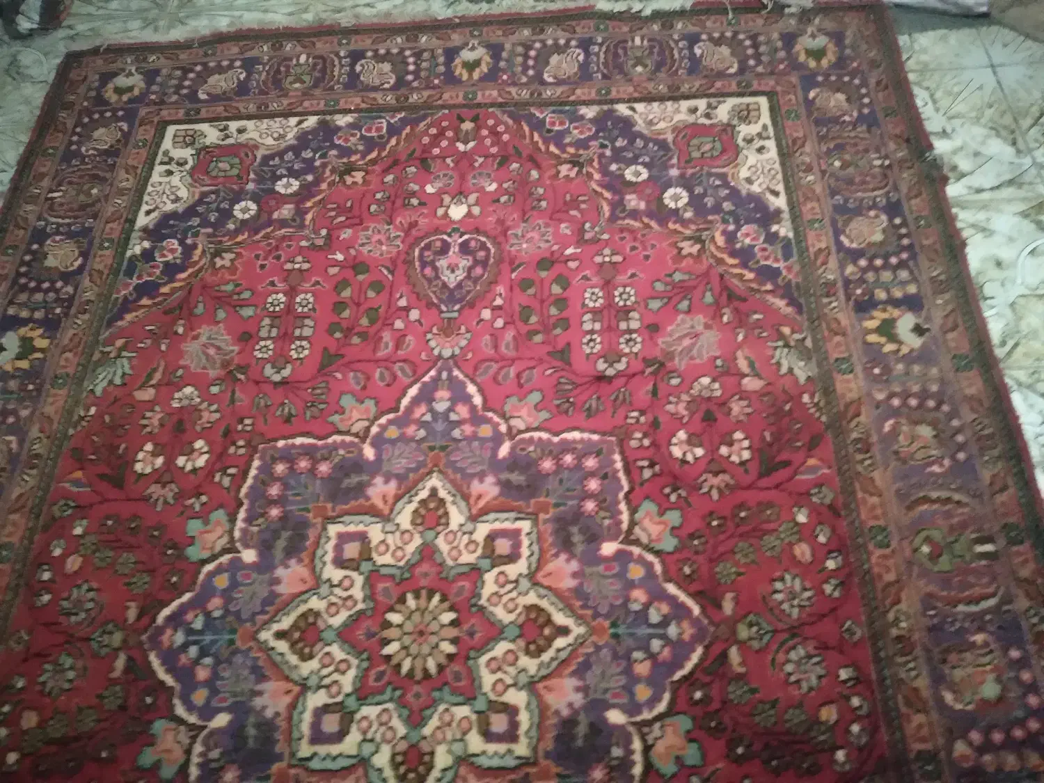 فرش طبیعی|فرش|چالدران, |دیوار