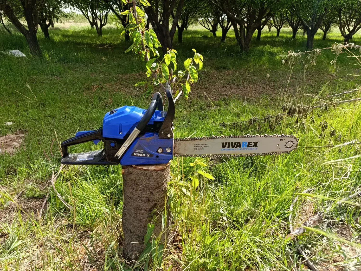 خدمات اره موتور بنزینی|خدمات باغبانی و درختکاری|پرند, فاز ۱|دیوار