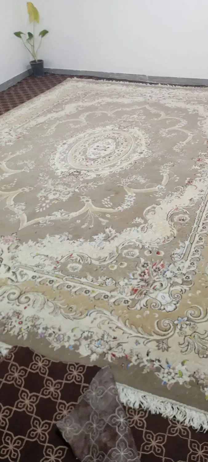 فرش ابریشم گل برجسته|فرش|نورآباد, |دیوار