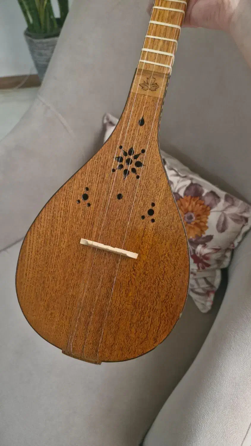 ساز سهتار مفاخری به همراه کیف|سازهای سنتی|رشت, چمارسرا|دیوار