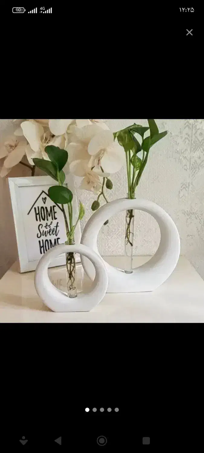 گلجا|گل و گیاه طبیعی|یزد, |دیوار